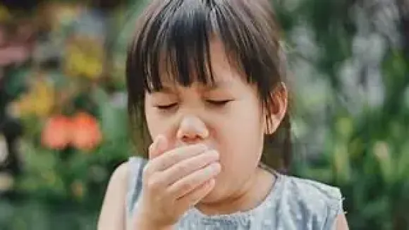 Tin tức
